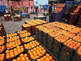  توزیع میوه ویژه عید در پیشوا آغاز شد