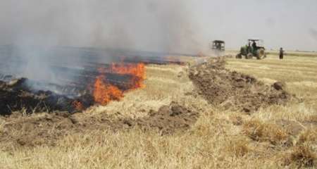  آتش نشانی ورامین نسبت به وقوع آتش سوزی در مزارع غلات هشدار داد