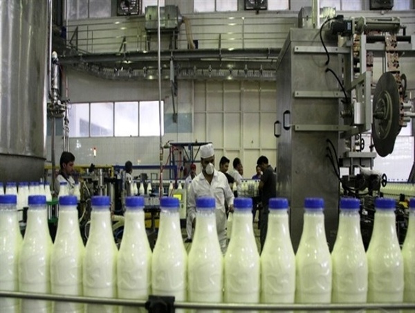  تعیین تکلیف کارگران کارخانه شیر وارنا/کارگران بیمه بیکاری دریافت می‌کنند