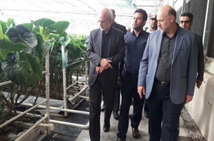  بازدید استاندار تهران از گلخانه گل‌های تزئینی