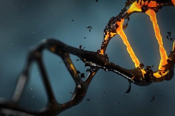  جمع آوری ۵ هزار نمونه از DNA مجرمان با سابقه تهران در بانک ژنتیک
