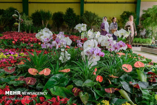 نمایشگاه تخصصی گل وگیاه با حضور گلکاران نمونه پاکدشت برپا می شود