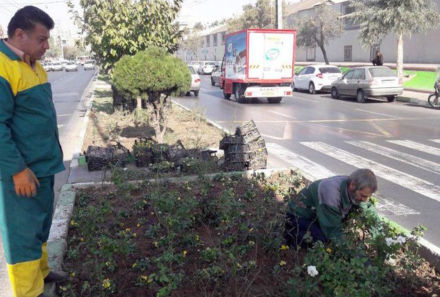  آغاز عملیات واکاری چمن و کاشت گل‏های فصلی در قرچک