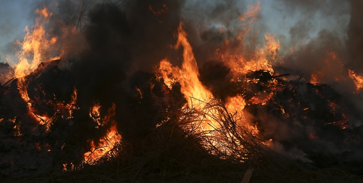  بیش از ۵هکتار از اراضی جو پیشوا از بین رفت/ معضل آتش زدن بقایای محصولات کشاورزی