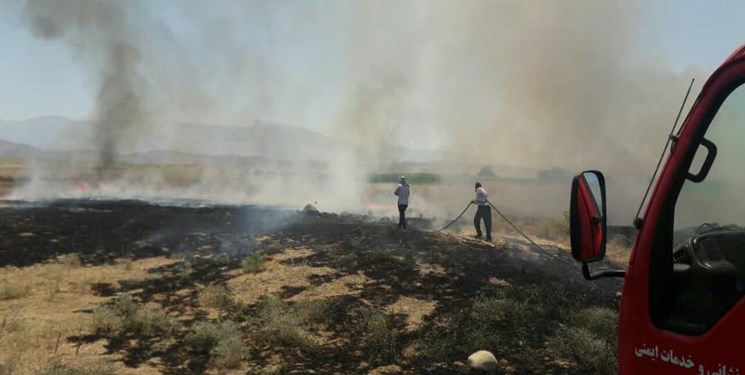  ۱۱۶ مورد آتش‌سوزی در مزارع پیشوا در یک‌ماه/ بیشتر آتش‌سوزی ها عمدی بود!