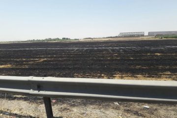  آتش غفلت بر زمین‌های کشاورزی دشت ورامین