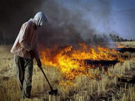  آتش زدن کاه و کلش به جا مانده در زمین کشاورزی پیشوا پس از برداشت محصول ممنوع است