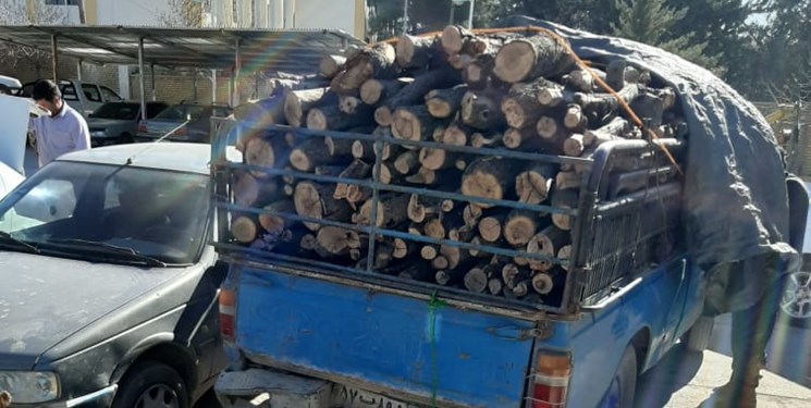  دستگیری سوداگران چوب در ورامین