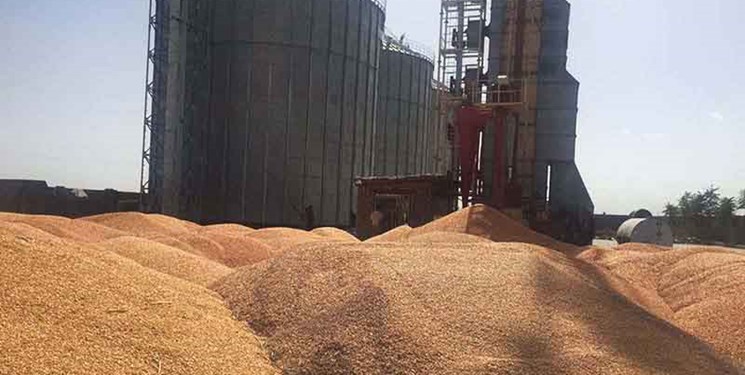  خرید تضمینی بیش از ۶۸ هزار تن گندم در جنوب شرق استان تهران